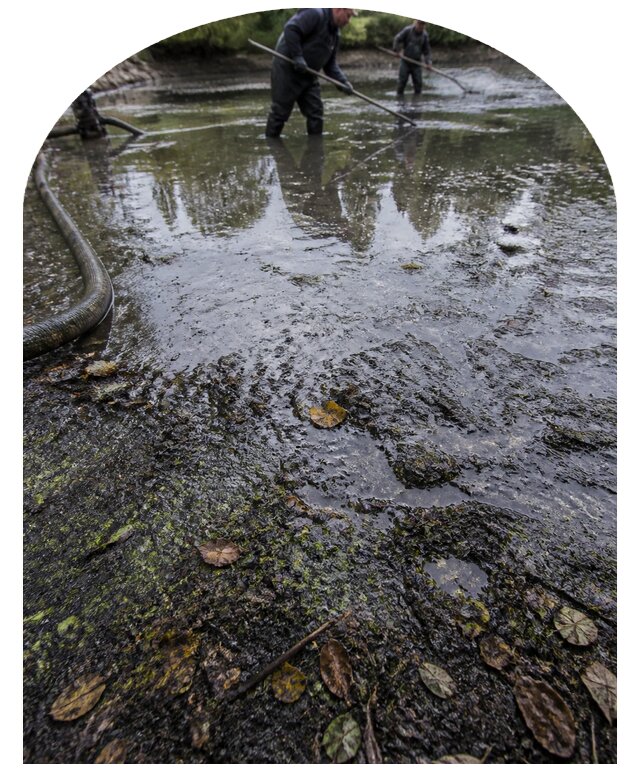 Очистка пруда в Сафонове от ила мусора и водорослей с вывозом
